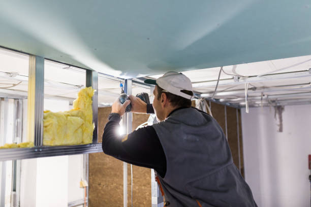 Best Home Insulation Services  in Winfield, MO