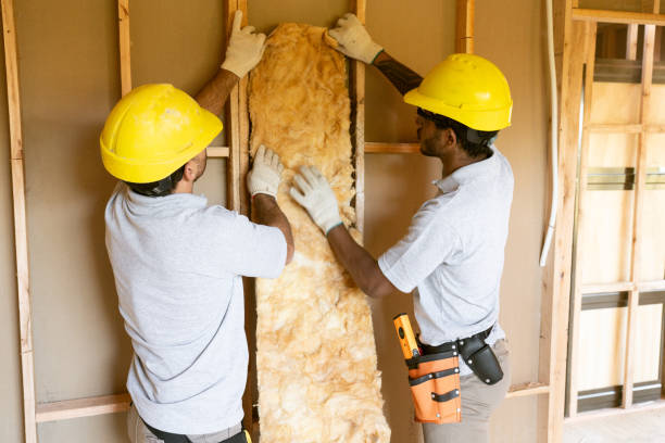 Best Insulation Contractors for Homes  in Winfield, MO