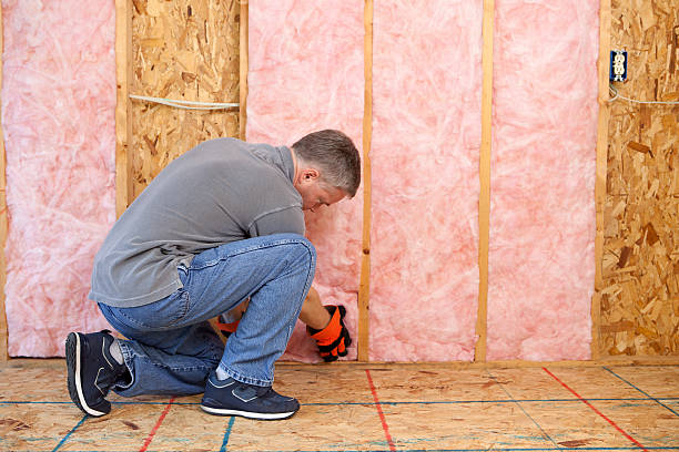 Insulation Repair Services in Winfield, MO