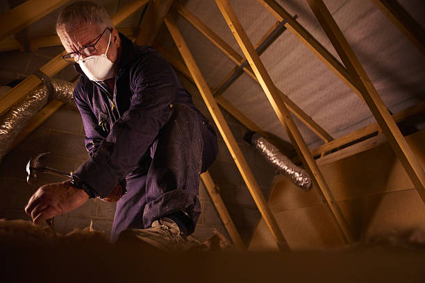 Best Insulation Removal  in Winfield, MO