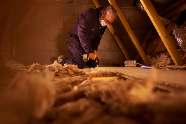 Best Cellulose Insulation  in Winfield, MO