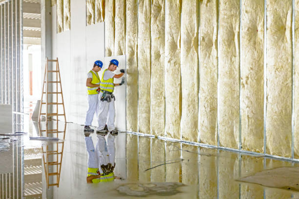 Insulation for Commercial Buildings in Winfield, MO
